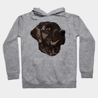 Chocolate Labrador Retriever Hoodie